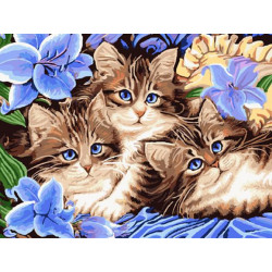 Diy Olja Målning Av Tal Duk Katt Bild Vuxen Färg Måla Akryl Målning Kalligrafi Av Siffra Vägg Dekor
