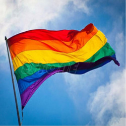 Regnbåge Flagga 3x5 Ft 90x150cm Polyester Lesbisk Gay Stolthet Hbtq För Dekoration S127