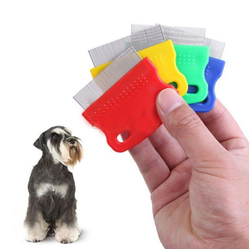 Sällskapsdjur Hund Katt Rena Hårkam Oming Verktyg Stål Små Bra Tandad Hårkam Fångst Löss