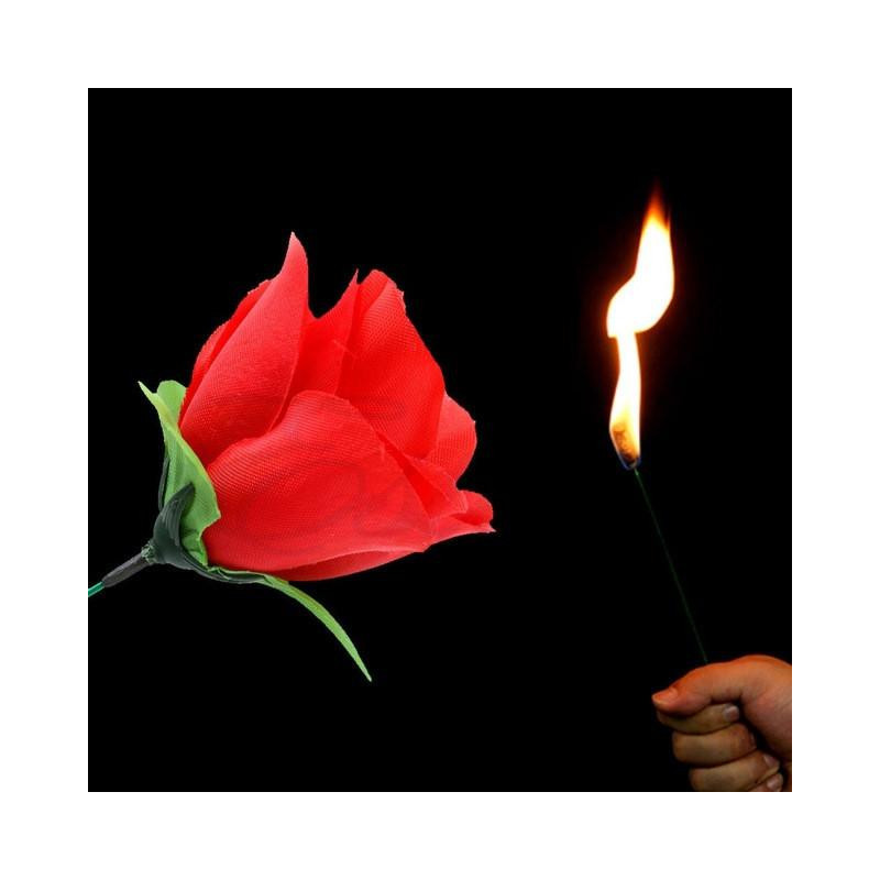 Het Skede Stänga Upp Magi Lura Fackla Reste Sig Till Tricks Flamma Blomma