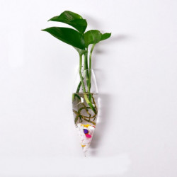 Kreativ Icepiton Glas Blomkruka Mini Vägg Hängande Blomma Vatten Växt Vas Flaska Hem Levande Rum Dekor