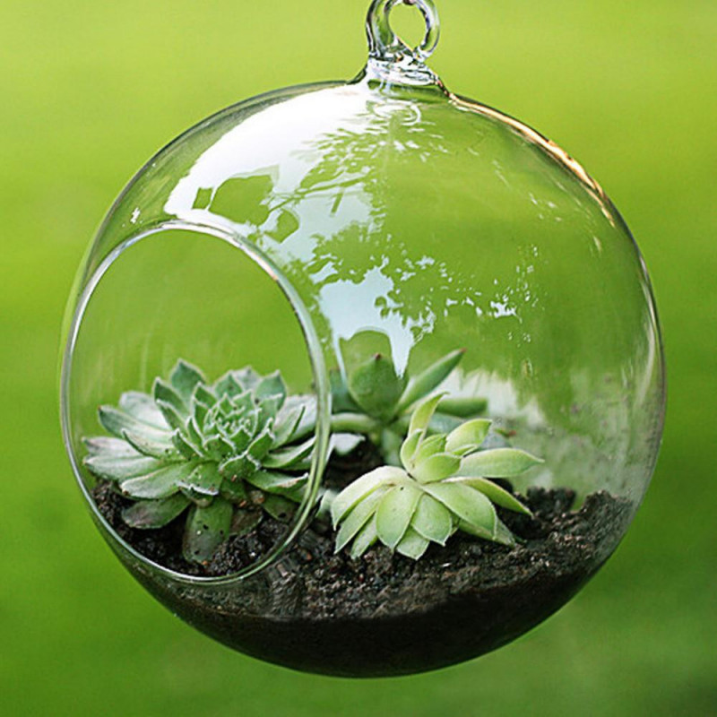 Mode Transparent Klar Glas Runda Terrarium Blomma Växt Stå Hängande Vas Hydroponic Hem Kontor Bröllop