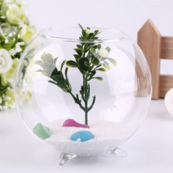 Stativ Stöd Runda Form Glas Växt Blomma Landskap Vas Behållare Transparent Hydroponic Vas Fisk Tank