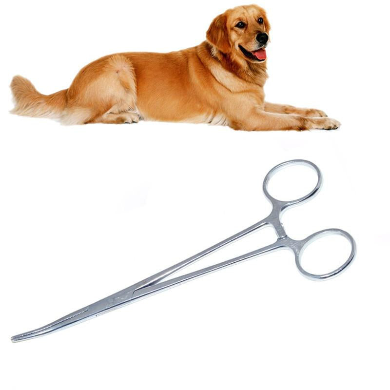 1 Pc Medicinsk Rost Stål Rakt Huvud Hemostatisk Tång Tång Nål Hållare För Sällskapsdjur Hår Handduk
