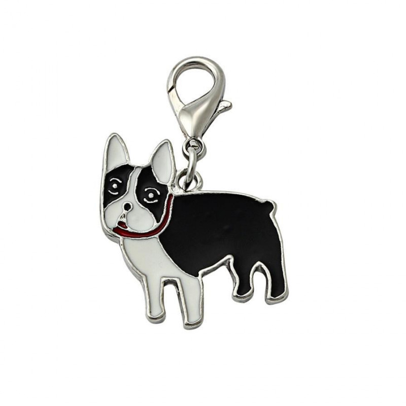 Kvalificerad Hund Märka Skiva Disk Sällskapsdjur Id Emalj Tillbehör Krage Halsband Hängsmycke Levert