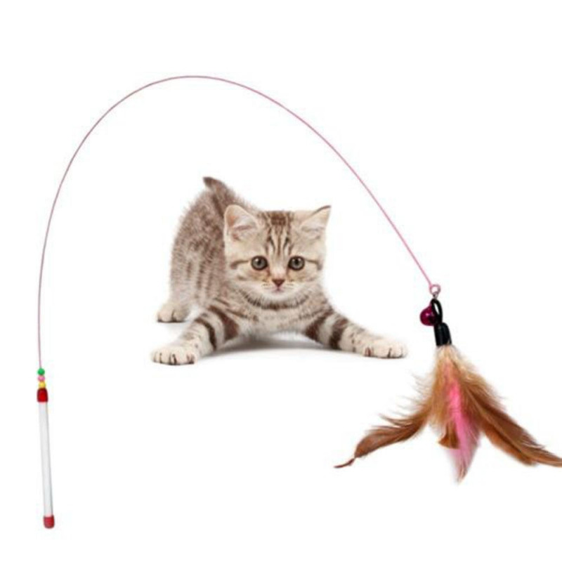 Rolig Katt Kattunge Sällskapsdjur Aptitretare Fjäder Tråd Chaser Sällskapsdjur Leksak Wand Pärlor