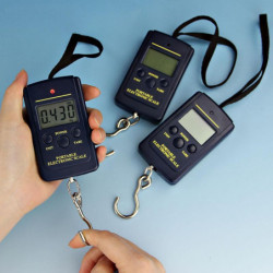 40kg X 10g Bärbar Mini Elektronisk Digital Skala Hängande Fiske Krok Ficka Vägning Skala 1 St