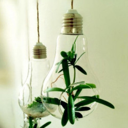 Glas Glödlampa Lampa Form Blomma Vatten Växt Hängande Vas Hydroponic Behållare Pott Hem Kontor Bröllop