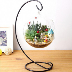 Diy Hydroponic Växt Blomma Hängande Glas Vas Behållare Hem Trädgård Dekor Varumärke