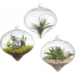 Terrarium Glas Vaso 11 X 9cm Topp Hängande Vas Middag Planter Terrarium Behållare Kastruller Hem Bröllop