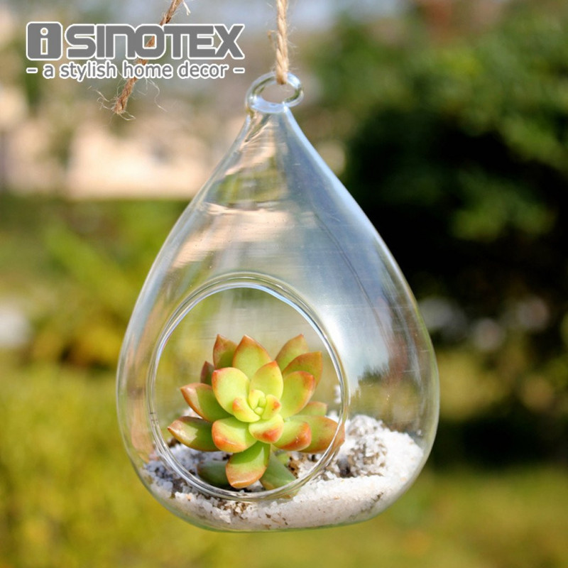 Terrarium Glas Vaso 12 X 8 Cm 4