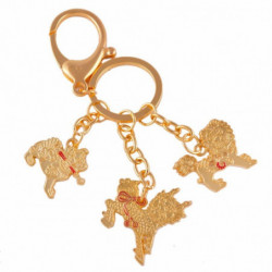 Feng Shui Tre Himmelsk Guardians W Svärd Lasso Krok Ckel Ringa Keychain Mässing Ckelringar