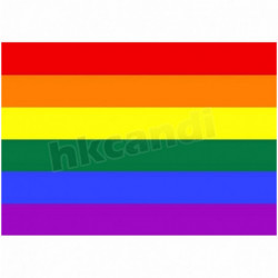 Hbtq 90cm X 60cm Regnbåge Flagga 3 X 2 Ft Polyester Standard Flagga Gay Stolthet Fred Flaggor Utomhus