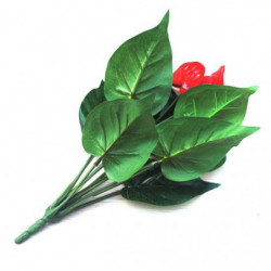 Anthurium Grön Inlagd Anthurium Blommor Inomhus Grön Växter Balkong Kontor Skrivbordet Artificiell