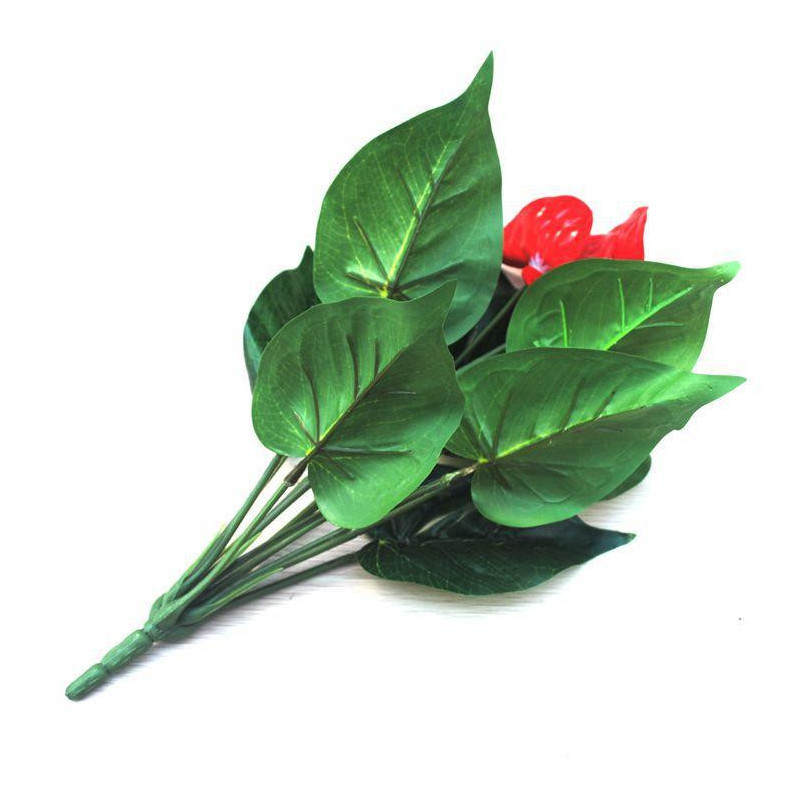 Anthurium Grön Inlagd Anthurium Blommor Inomhus Grön Växter Balkong Kontor Skrivbordet Artificiell