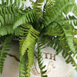 Höjd Kvalitet Fishtail Tall Ormbunke Falsk Växt Artificiell Blommig Löv Fest Dekor Dekoration