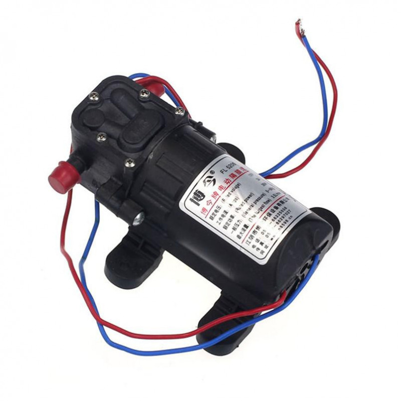 Roman Design Hög Tryck Självsugande Elektrisk Bil Tvätta Bricka Vatten Pump 12v Bil Bricka Tvättning