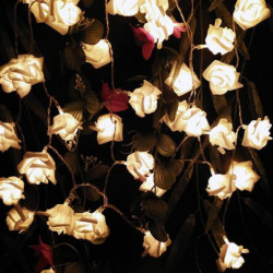 5m 50 Roses Led Garlands...