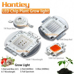 Växt Växa Ljus Led Chip...