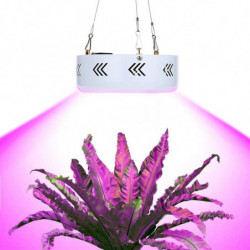 50w Mini Ufo Led Växt Växa...