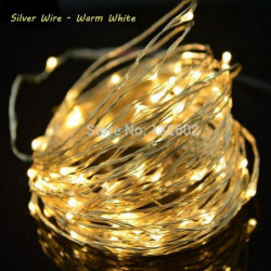 Erchen 10m 100led Silver...
