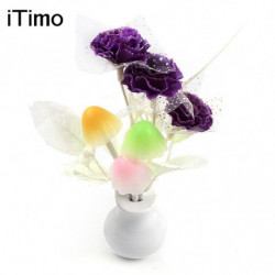Svamp Blomma Växt Led Natt...