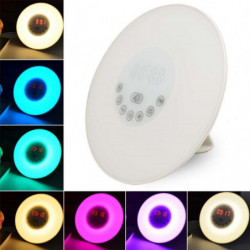 Dc5v Digital Led Larm...