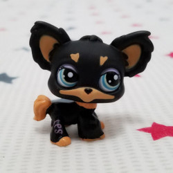 Härlig Sällskapsdjur Affär Djur Lps Handling Figur Docka Brun Svart Chihuahua Valp Hund 1571