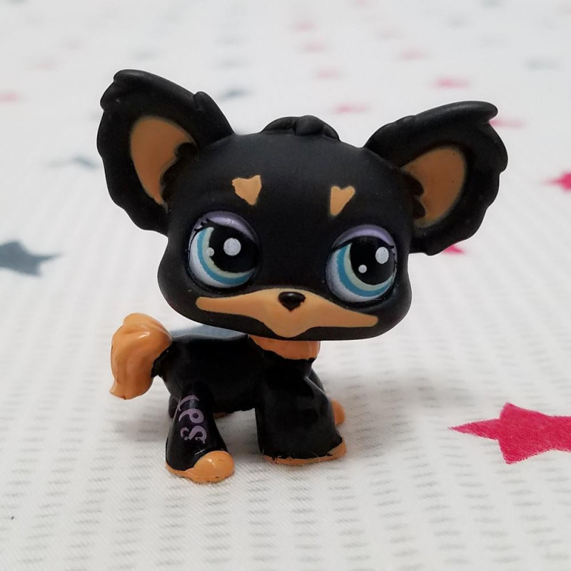 Härlig Sällskapsdjur Affär Djur Lps Handling Figur Docka Brun Svart Chihuahua Valp Hund 1571