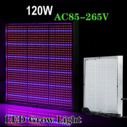 120w 85265v Hög Kraft Led Växt Växa Ljus Lampa För Vegs Akvarium Trädgård Hortikultur Och Hydroponics