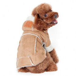 Stor Små Sällskapsdjur Hund...