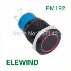 Elewind 19mm Ringa Upplyst Låsning Skjuta På Knapp Omkopplare Pm192f11ze R 12v En