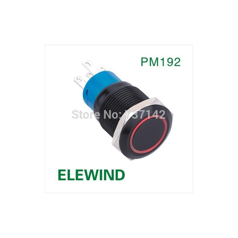Elewind 19mm Ringa Upplyst Låsning Skjuta På Knapp Omkopplare Pm192f11ze R 12v En