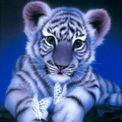 Diamant Broderi Tiger 5d...