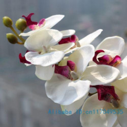 1 Stam Silke Blomma...