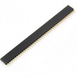 10pc 1 X 40pin Enda Rad Kvinna 2