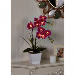 20 Inch 50cm Led Blomma...