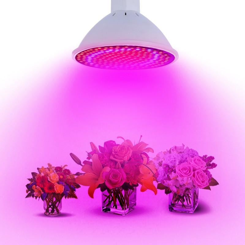 Led Växa Ljus Glödlampa E27 20w 166 Röd 34 Blå Led Växt Lampa Trädgård Växthus Hydroponics Växt