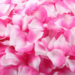 Topp Stor 1000 Pcs Silke...