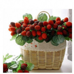 9 Frukt Dekoration Blomma...