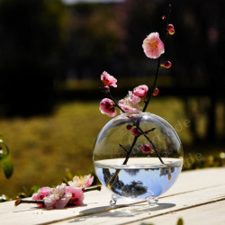 Runda Glas Vas Terrarium...