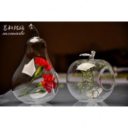 Terrarium Glas Vasp Äpple...